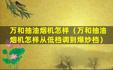 万和抽油烟机怎样（万和抽油烟机怎样从低档调到爆炒档）