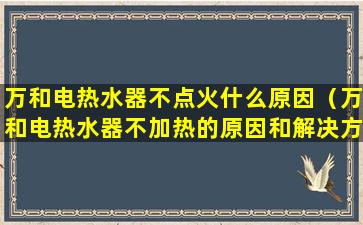 万和电热水器不点火什么原因（万和电热水器不加热的原因和解决方法）