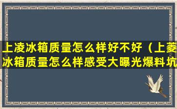 上凌冰箱质量怎么样好不好（上菱冰箱质量怎么样感受大曝光爆料坑不坑人）