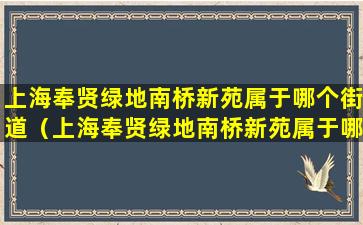 上海奉贤绿地南桥新苑属于哪个街道（上海奉贤绿地南桥新苑属于哪个街道办事处）