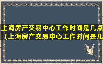 上海房产交易中心工作时间是几点（上海房产交易中心工作时间是几点到几点）