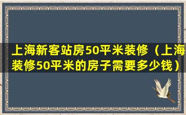 上海新客站房50平米装修（上海装修50平米的房子需要多少钱）