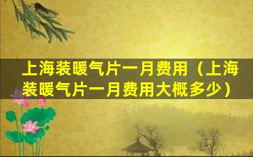 上海装暖气片一月费用（上海装暖气片一月费用大概多少）