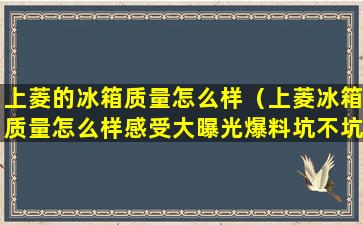 上菱的冰箱质量怎么样（上菱冰箱质量怎么样感受大曝光爆料坑不坑人）