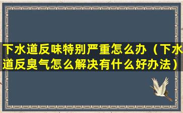 下水道反味特别严重怎么办（下水道反臭气怎么解决有什么好办法）