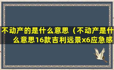 不动产的是什么意思（不动产是什么意思16款吉利远景x6应急感应区在哪里）