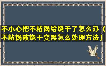 不小心把不粘锅给烧干了怎么办（不粘锅被烧干变黑怎么处理方法）