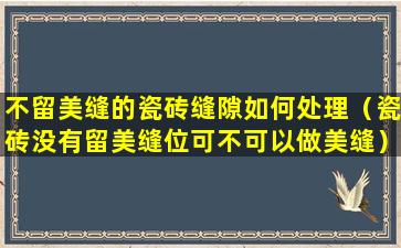 不留美缝的瓷砖缝隙如何处理（瓷砖没有留美缝位可不可以做美缝）