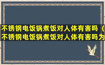 不锈钢电饭锅煮饭对人体有害吗（不锈钢电饭锅煮饭对人体有害吗为什么）