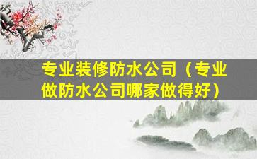 专业装修防水公司（专业做防水公司哪家做得好）