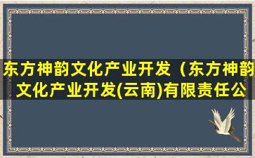 东方神韵文化产业开发（东方神韵文化产业开发(云南)有限责任公司发改委）