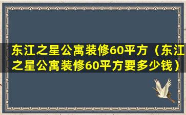 东江之星公寓装修60平方（东江之星公寓装修60平方要多少钱）