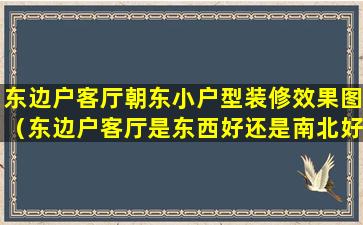 东边户客厅朝东小户型装修效果图（东边户客厅是东西好还是南北好）