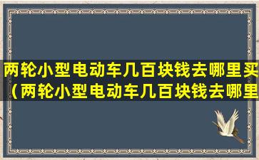 两轮小型电动车几百块钱去哪里买（两轮小型电动车几百块钱去哪里买好）