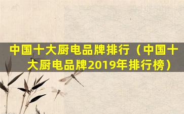 中国十大厨电品牌排行（中国十大厨电品牌2019年排行榜）