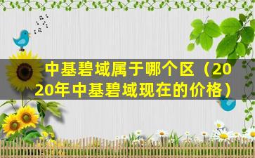 中基碧域属于哪个区（2020年中基碧域现在的价格）