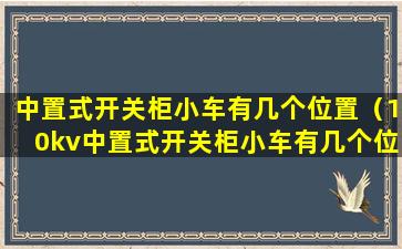 中置式开关柜小车有几个位置（10kv中置式开关柜小车有几个位置）