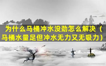 为什么马桶冲水没劲怎么解决（马桶水量足但冲水无力又无吸力）