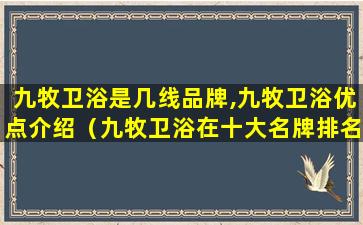 九牧卫浴是几线品牌,九牧卫浴优点介绍（九牧卫浴在十大名牌排名第几）