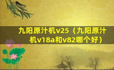 九阳原汁机v25（九阳原汁机v18a和v82哪个好）