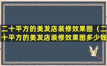 二十平方的美发店装修效果图（二十平方的美发店装修效果图多少钱）