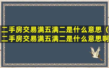 二手房交易满五满二是什么意思（二手房交易满五满二是什么意思啊）