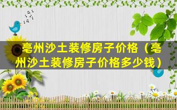 亳州沙土装修房子价格（亳州沙土装修房子价格多少钱）