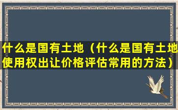 什么是国有土地（什么是国有土地使用权出让价格评估常用的方法）