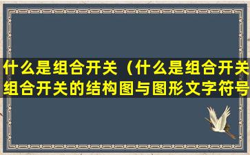 什么是组合开关（什么是组合开关组合开关的结构图与图形文字符号图）