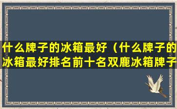 什么牌子的冰箱最好（什么牌子的冰箱最好排名前十名双鹿冰箱牌子可以吗）