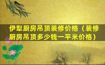 伊犁厨房吊顶装修价格（装修厨房吊顶多少钱一平米价格）