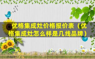 优格集成灶价格报价表（优格集成灶怎么样是几线品牌）