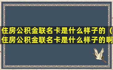 住房公积金联名卡是什么样子的（住房公积金联名卡是什么样子的啊）