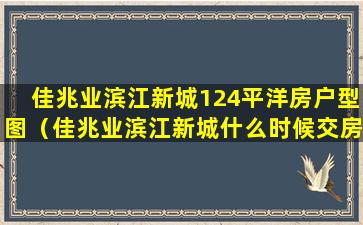 佳兆业滨江新城124平洋房户型图（佳兆业滨江新城什么时候交房）