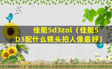 佳能5d3zol（佳能5D3配什么镜头拍人像最好）