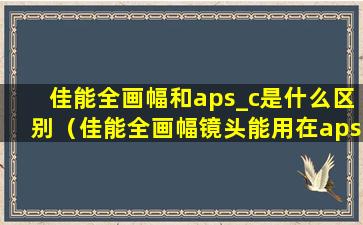 佳能全画幅和aps_c是什么区别（佳能全画幅镜头能用在apsc画幅相机上吗）