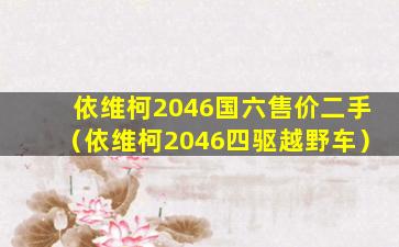 依维柯2046国六售价二手（依维柯2046四驱越野车）