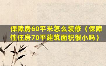 保障房60平米怎么装修（保障性住房70平建筑面积很小吗）