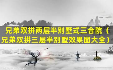 兄弟双拼两层半别墅式三合院（兄弟双拼三层半别墅效果图大全）