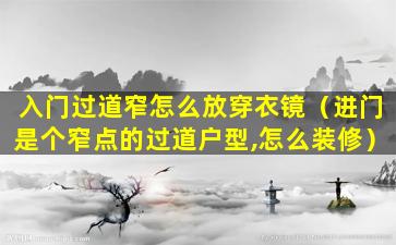 入门过道窄怎么放穿衣镜（进门是个窄点的过道户型,怎么装修）