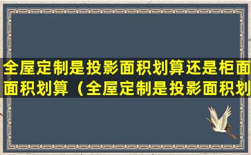 全屋定制是投影面积划算还是柜面面积划算（全屋定制是投影面积划算还是柜面面积划算呢）