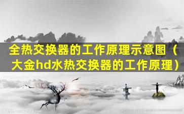 全热交换器的工作原理示意图（大金hd水热交换器的工作原理）