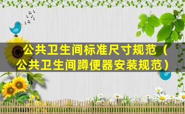 公共卫生间标准尺寸规范（公共卫生间蹲便器安装规范）