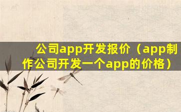 公司app开发报价（app制作公司开发一个app的价格）