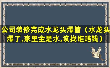 公司装修完成水龙头爆管（水龙头爆了,家里全是水,该找谁赔钱）