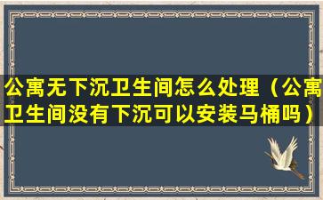 公寓无下沉卫生间怎么处理（公寓卫生间没有下沉可以安装马桶吗）