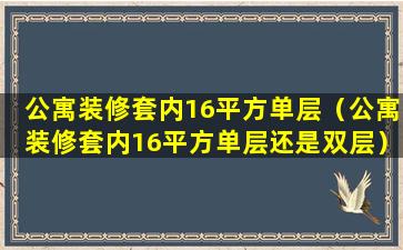 公寓装修套内16平方单层（公寓装修套内16平方单层还是双层）