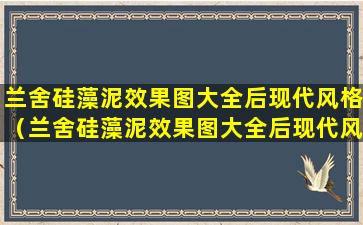 兰舍硅藻泥效果图大全后现代风格（兰舍硅藻泥效果图大全后现代风格装修）