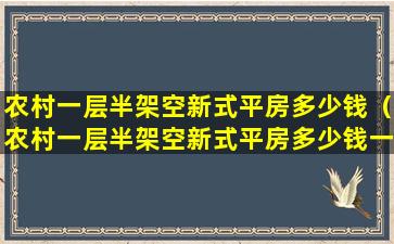 农村一层半架空新式平房多少钱（农村一层半架空新式平房多少钱一套）