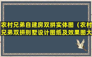 农村兄弟自建房双拼实体图（农村兄弟双拼别墅设计图纸及效果图大全）